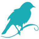 Bluebird icon