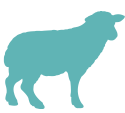 Sheep icon